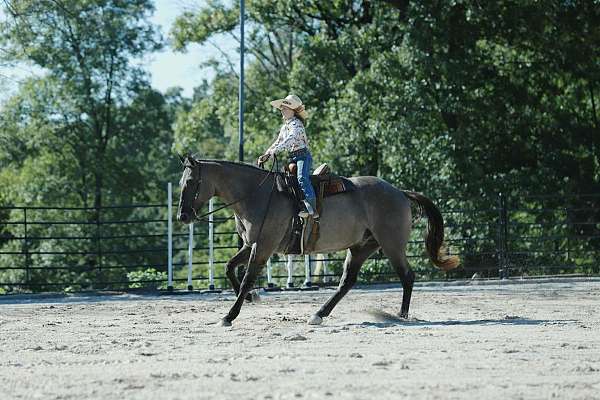 roping-quarter-horse