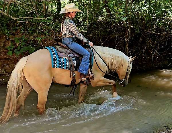 husband-safe-quarter-pony