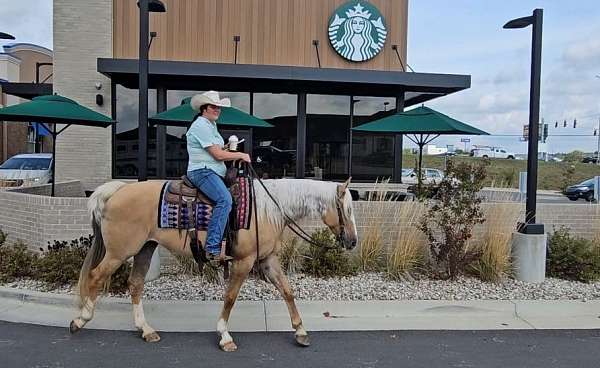 kid-safe-quarter-pony