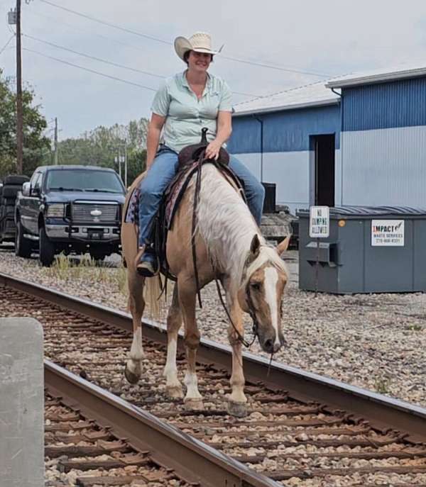 performance-quarter-pony