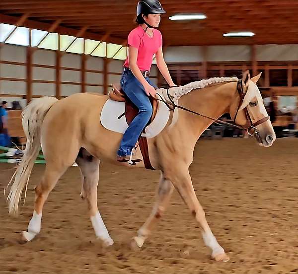 ridden-english-quarter-pony