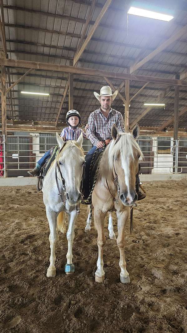ranch-work-quarter-pony