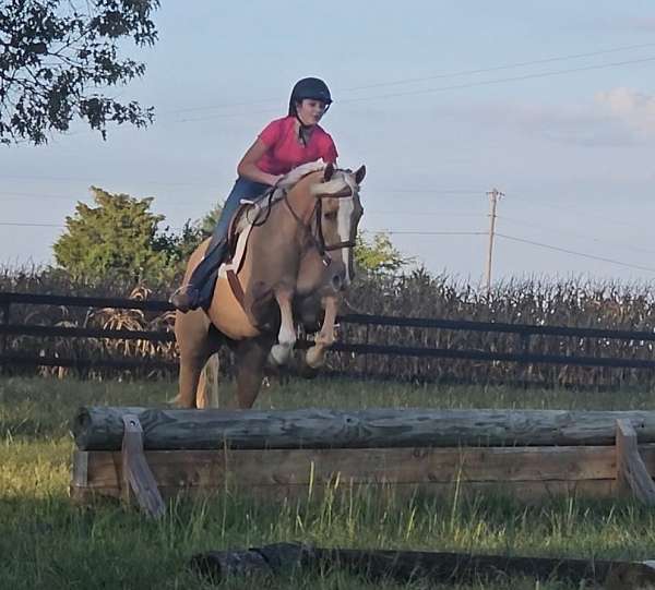 roping-quarter-pony