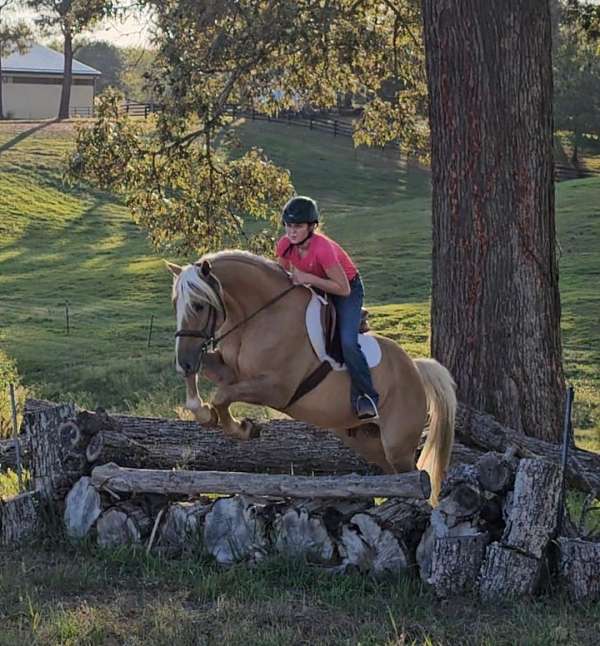 show-quarter-pony