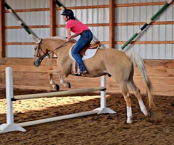 ridden-western-quarter-pony