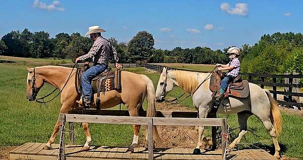 trail-quarter-pony