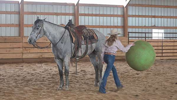 roping-quarter-horse