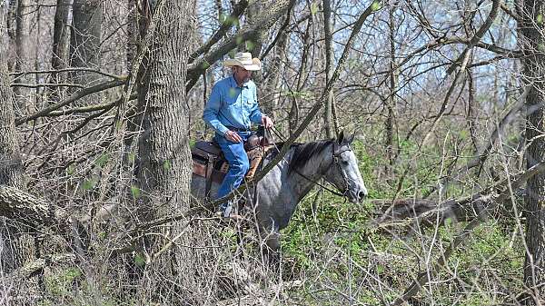 youth-quarter-horse