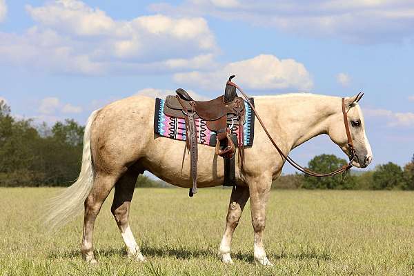 jumping-draft-horse