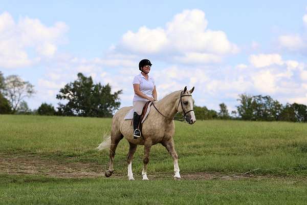 ranch-work-draft-horse