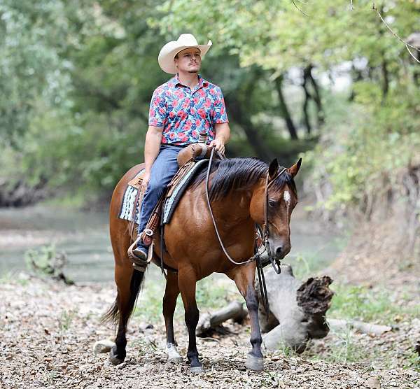 athletic-quarter-horse