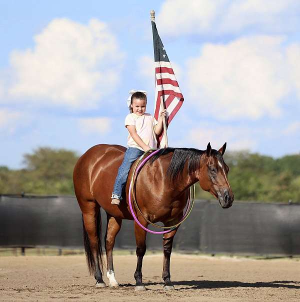 calf-roping-quarter-horse
