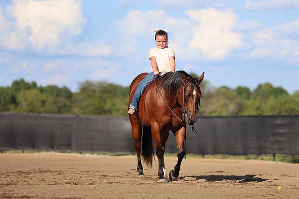 flashy-quarter-horse