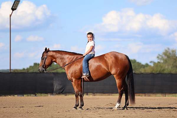 ranch-versatility-quarter-horse