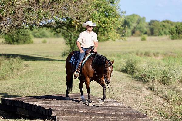 roping-quarter-horse