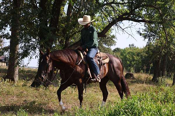 heading-quarter-horse