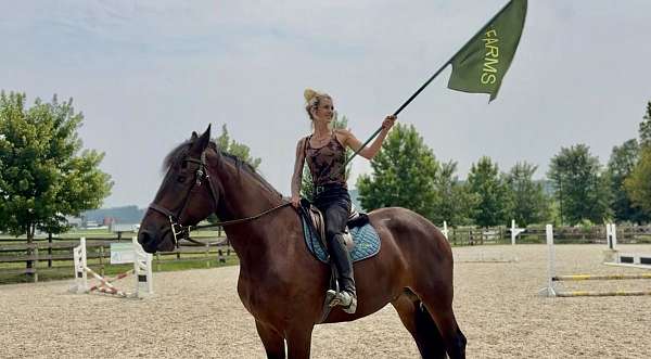 performance-percheron-horse