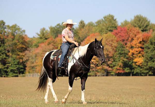 athletic-paint-horse