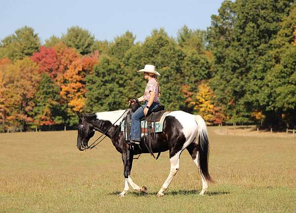 husband-safe-paint-horse