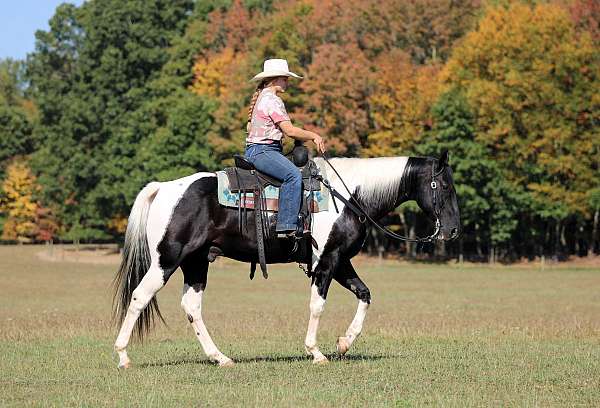 lesson-paint-horse