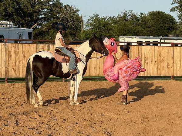 calf-roping-paint-horse