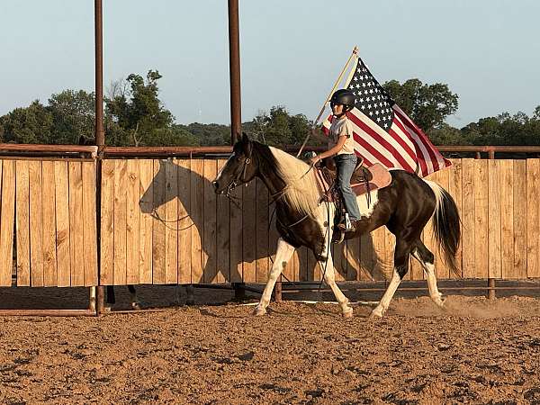 husband-safe-paint-horse