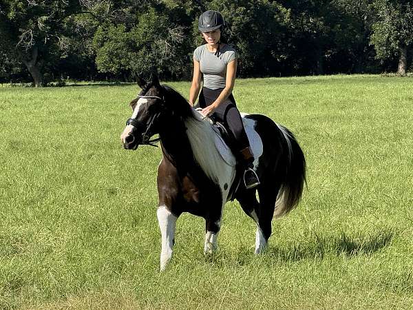 ranch-versatility-paint-horse