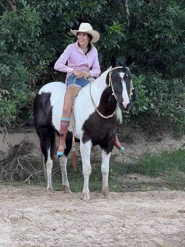 ranch-work-paint-horse