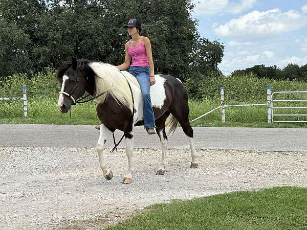 trail-riding-paint-horse