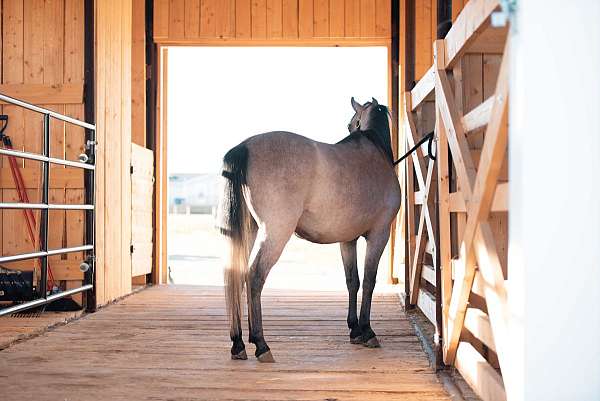 good-minded-pony