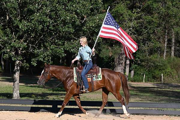 flashy-quarter-horse