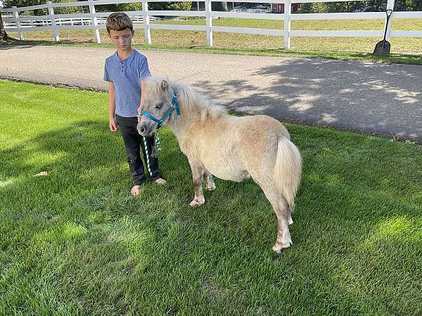 zoo-filly