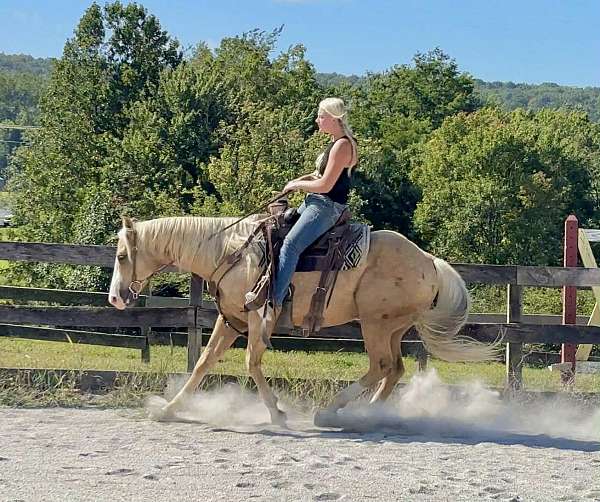 flashy-paint-horse