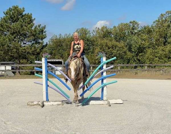 ranch-versatility-paint-horse