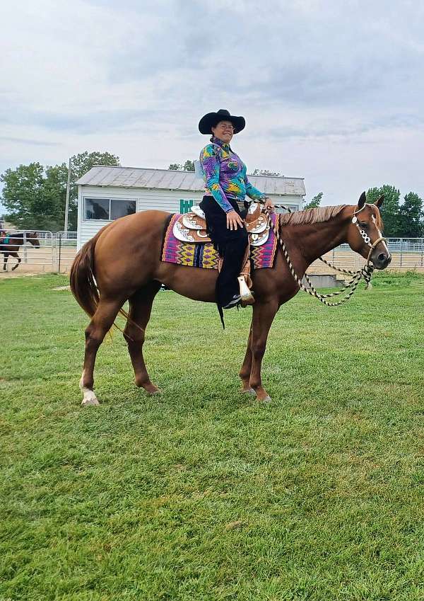 ridden-western-quarter-horse