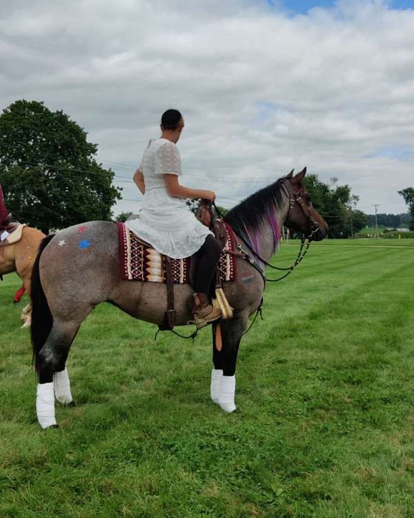 ranch-work-quarter-horse