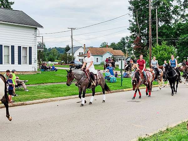 ridden-western-quarter-horse