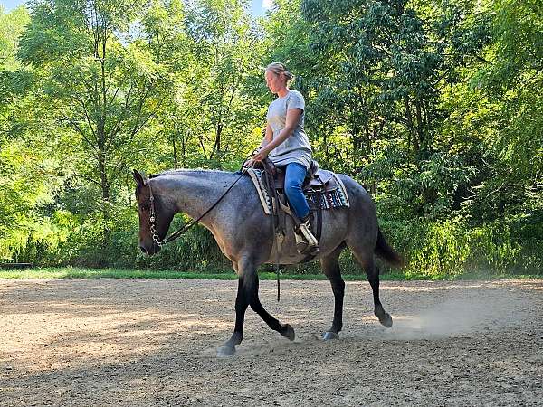 western-riding-quarter-horse