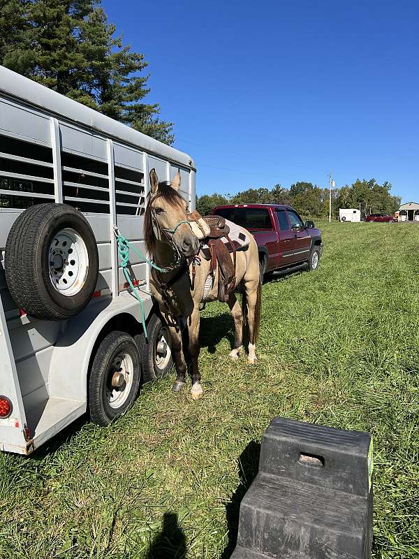 dun-dunskin-aqha-horse