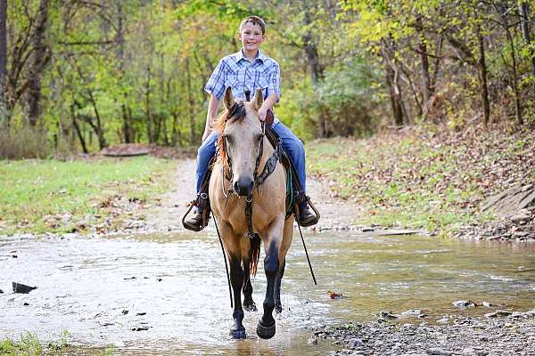 athletic-quarter-horse