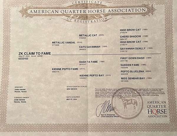roan-pacing-horse