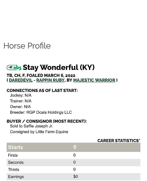 fei-thoroughbred-horse