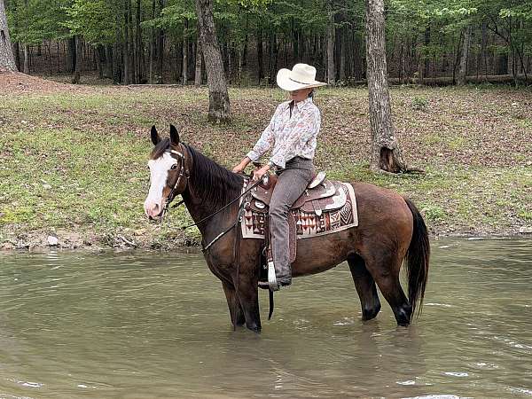 grey-whorl-on-head-horse