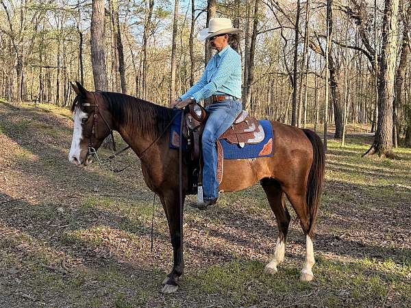 big-motor-mule
