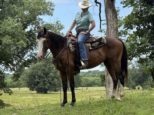 sorrel-color-gelding