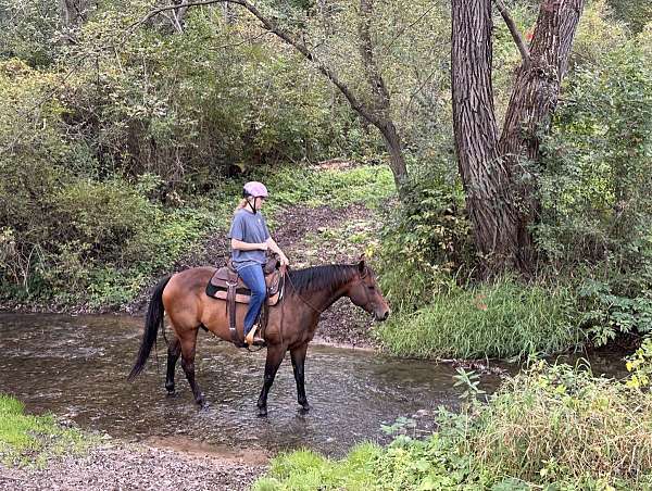 trail-ride-quarter-horse