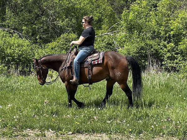 mountain-quarter-horse