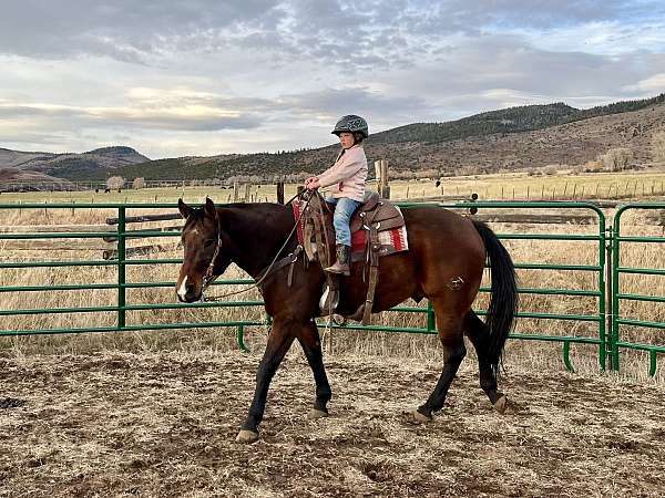 safe-quarter-horse