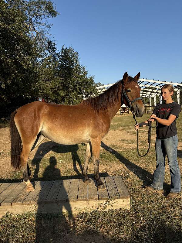 right-hind-stripped-hoof-pony