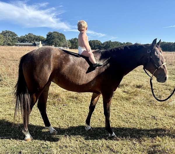heading-appaloosa-pony